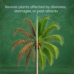 Agrocare Plus