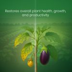 Agrocare Plus