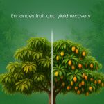 Agrocare Plus