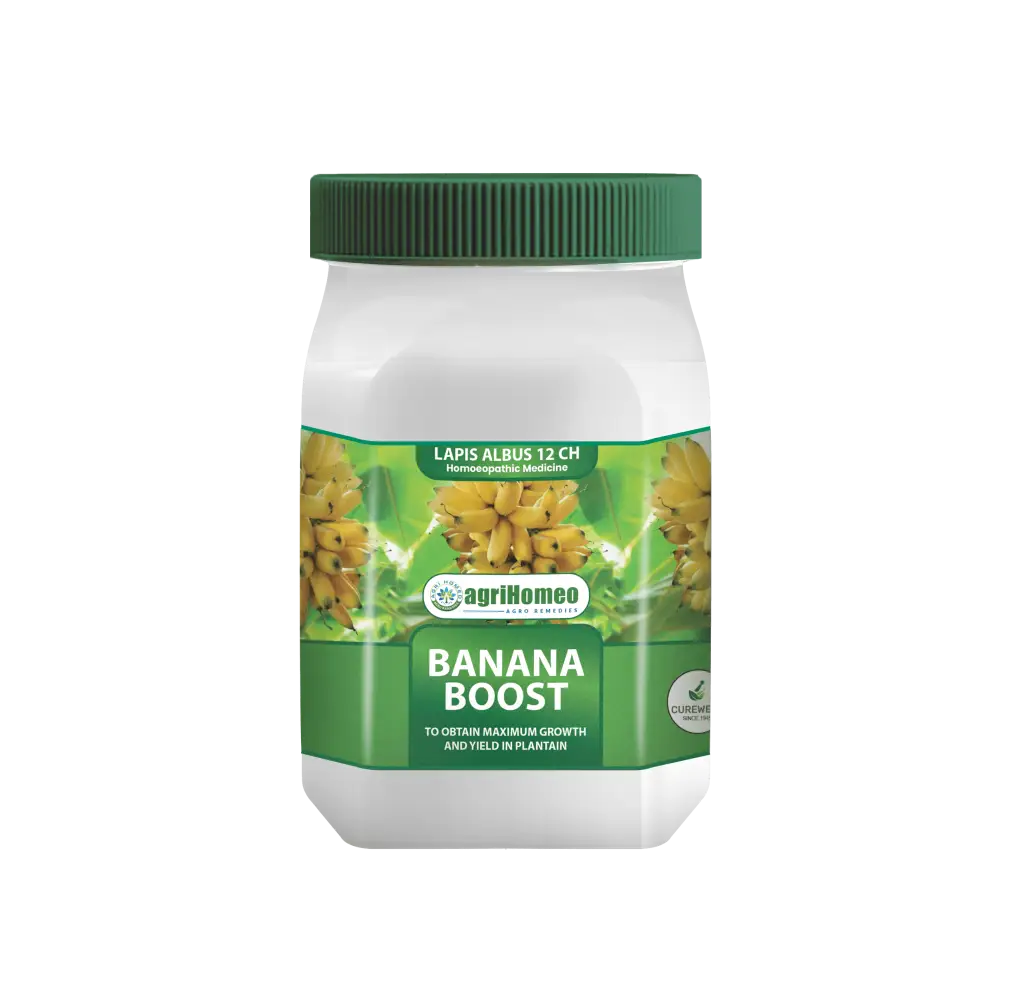 Banana Boost-AgriHomeo