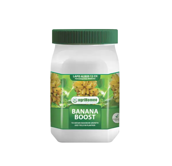 Banana Boost-AgriHomeo