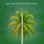 Maxicrop Plus