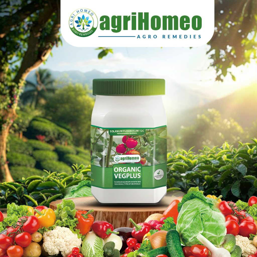 Organic Vegplus