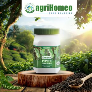 Pepper Maxiplus