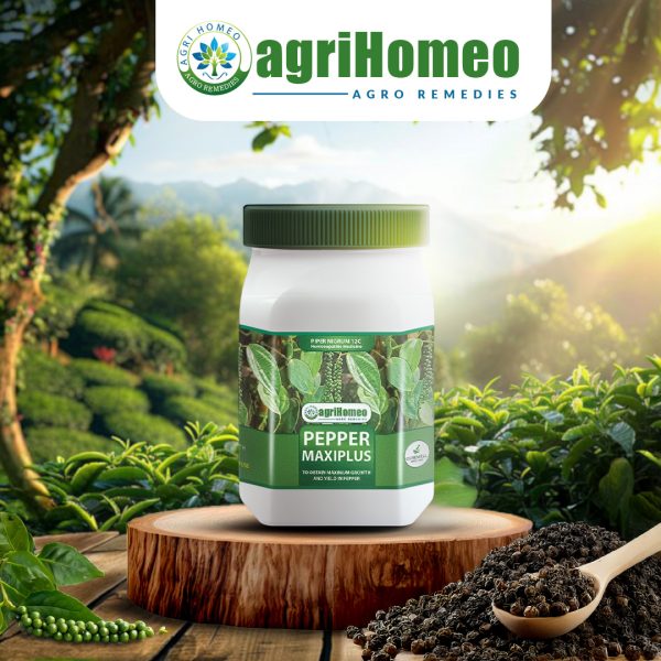 Pepper Maxiplus