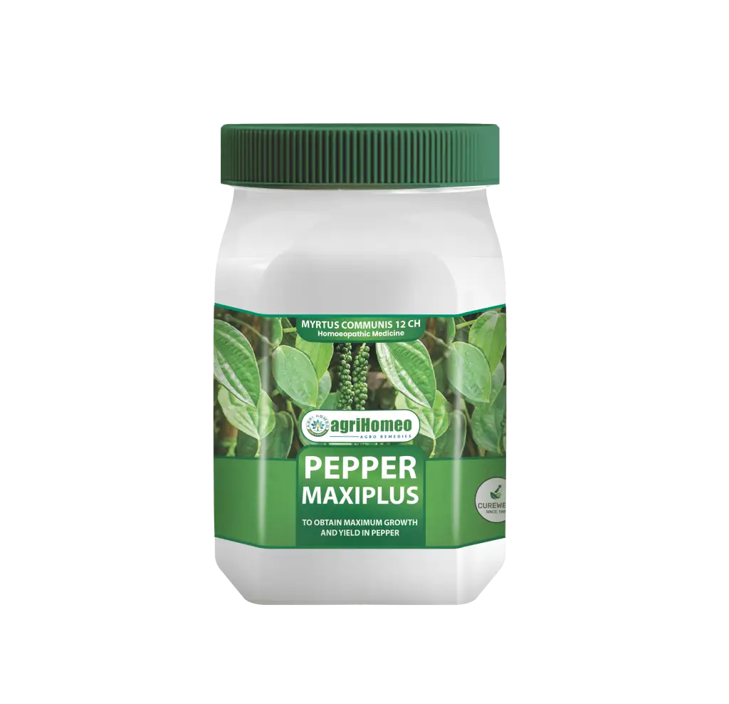 Pepper Maxiplus-AgriHomeo